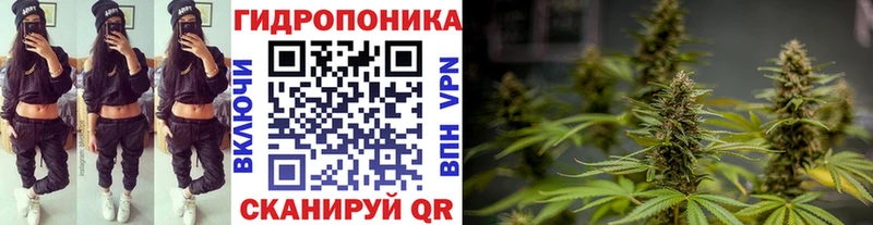 Названия наркотиков Алупка Кокаин Амфетамин MDMA APVP МАРИХУАНА