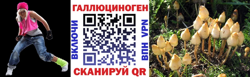 Галлюциногенные грибы Psilocybe хочу наркоту Алупка